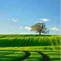 缓​存​神​器‌